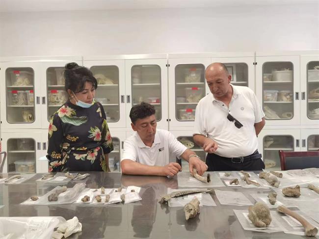 2022年阿克苏地区文博人才培训班参加现场教学.jpg